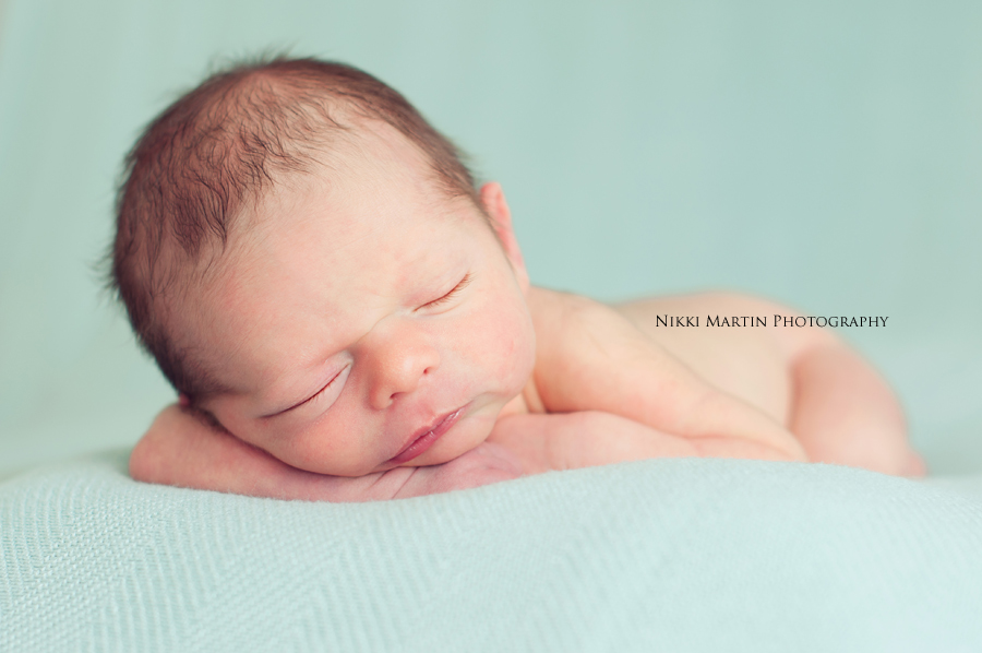 newborn portraits portlane maine