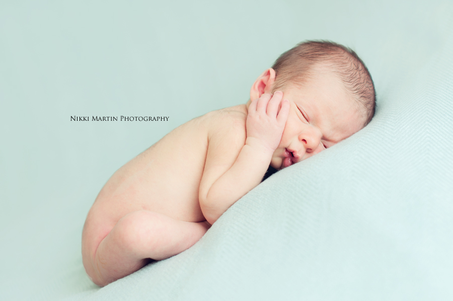 newborn portraits portlane maine