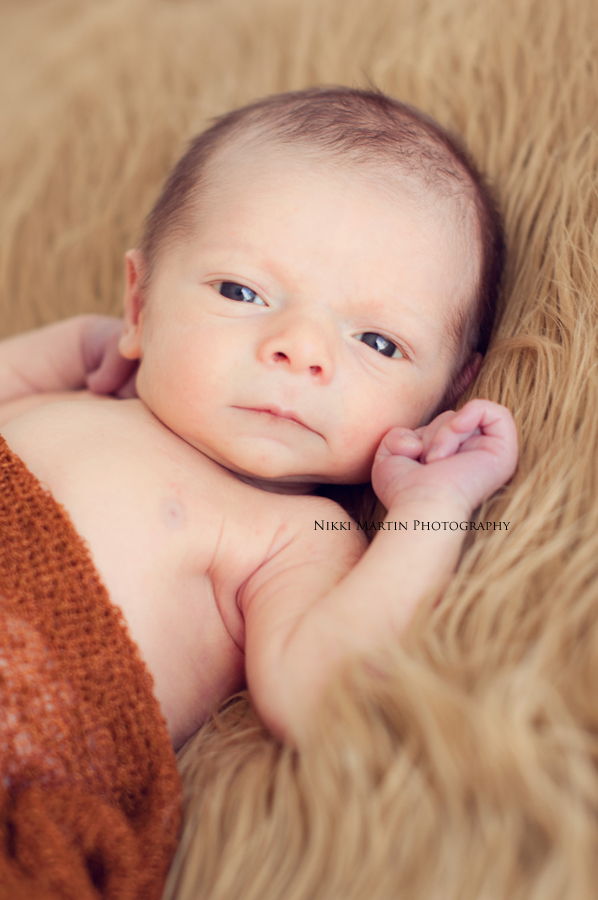 newborn portraits portlane maine