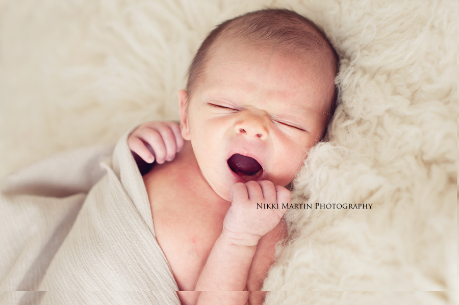 professional newborn photographer