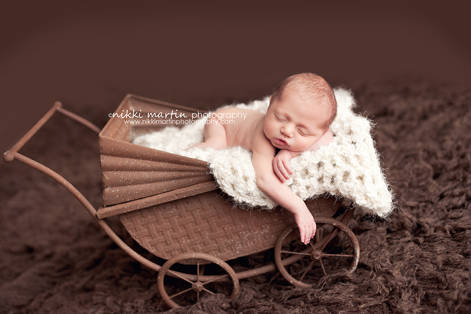 Maine Newborn Baby Photographer