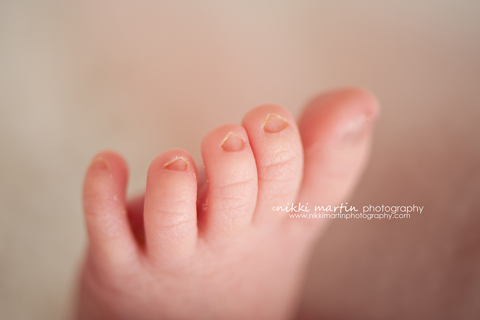 Portland Maine Newborn Photographer