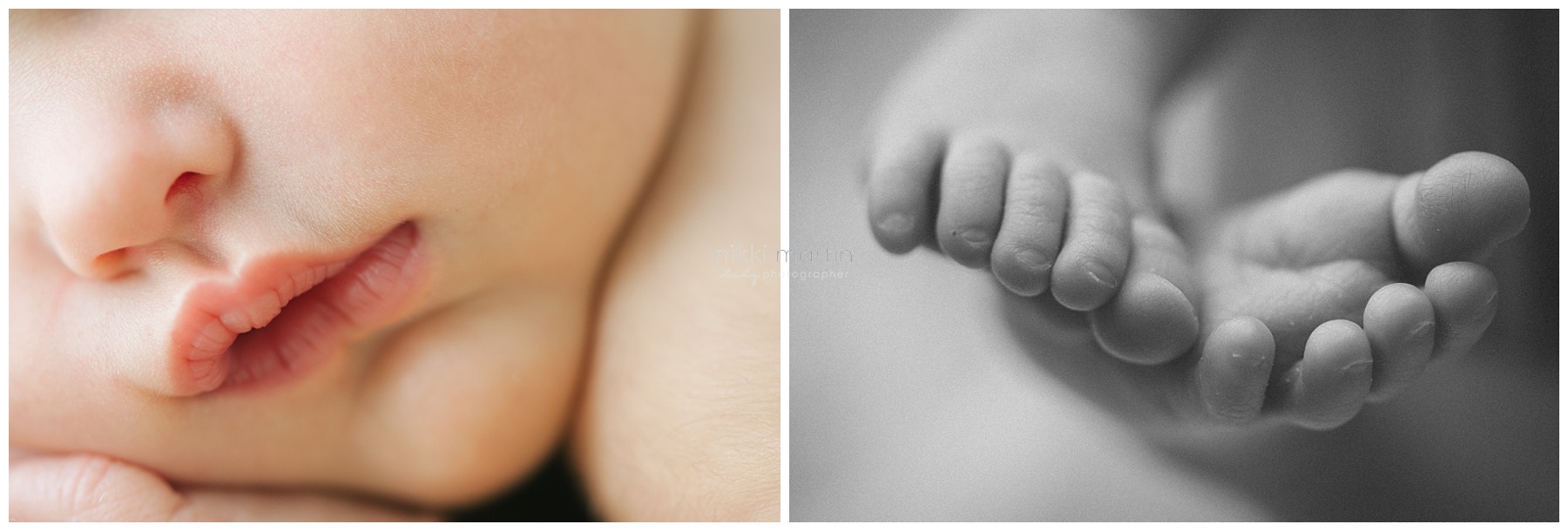 Professional Newborn Photographer