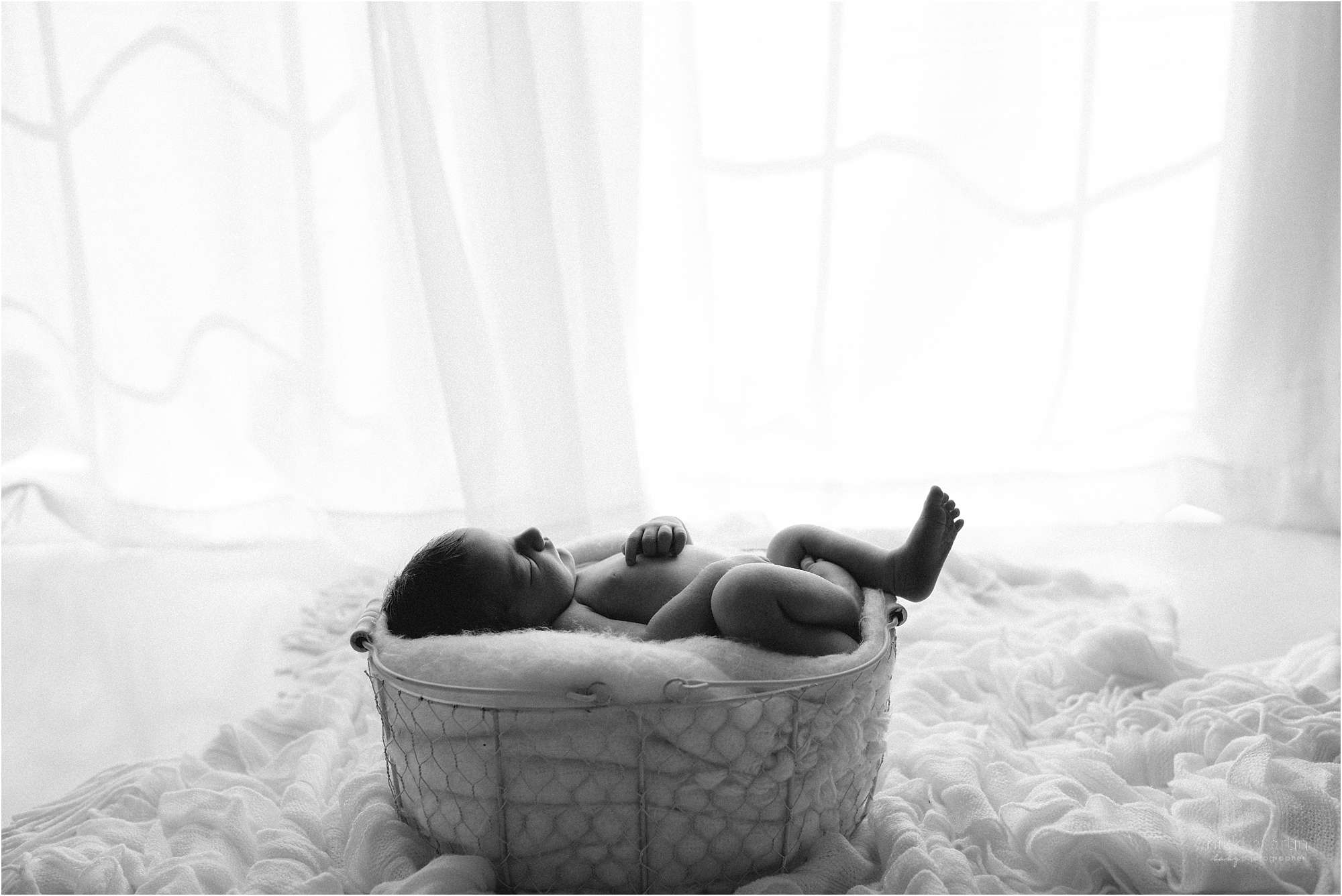 newborn photography portland me