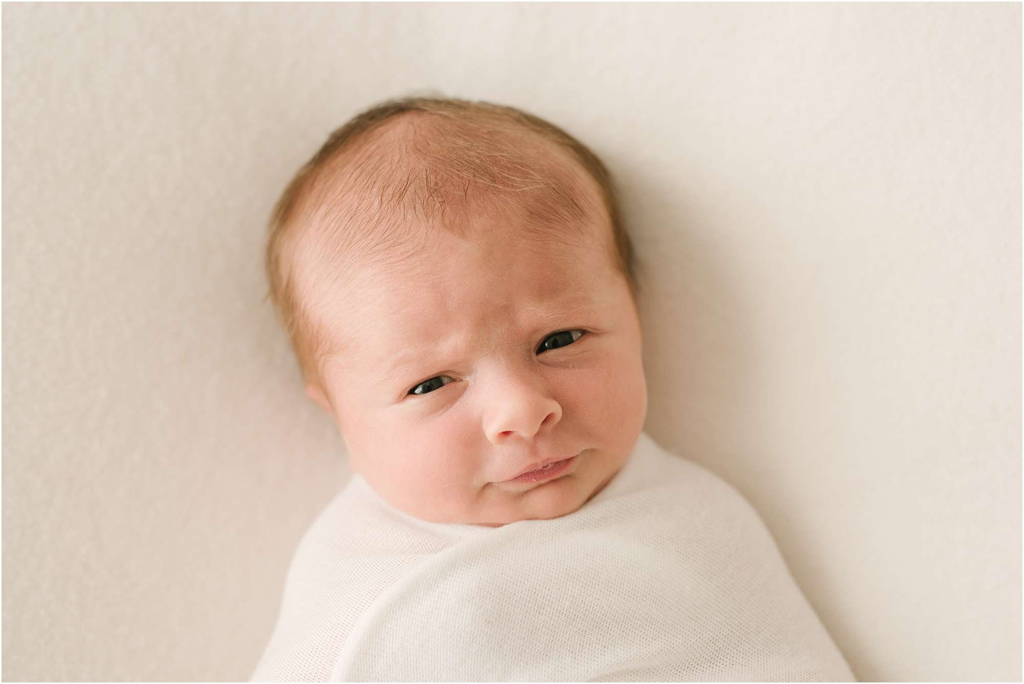 newborn photographer in portland maine