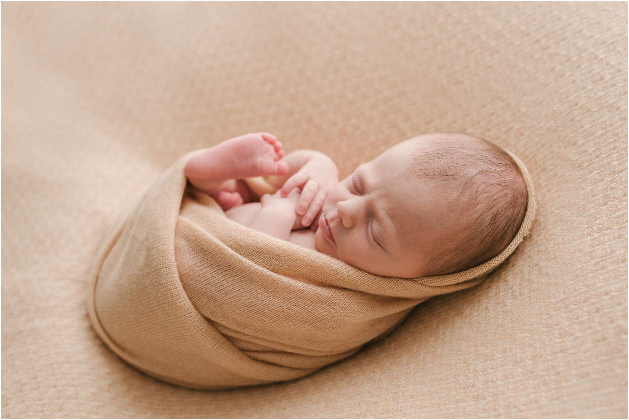 best maine newborn photographer, professional newborn photos