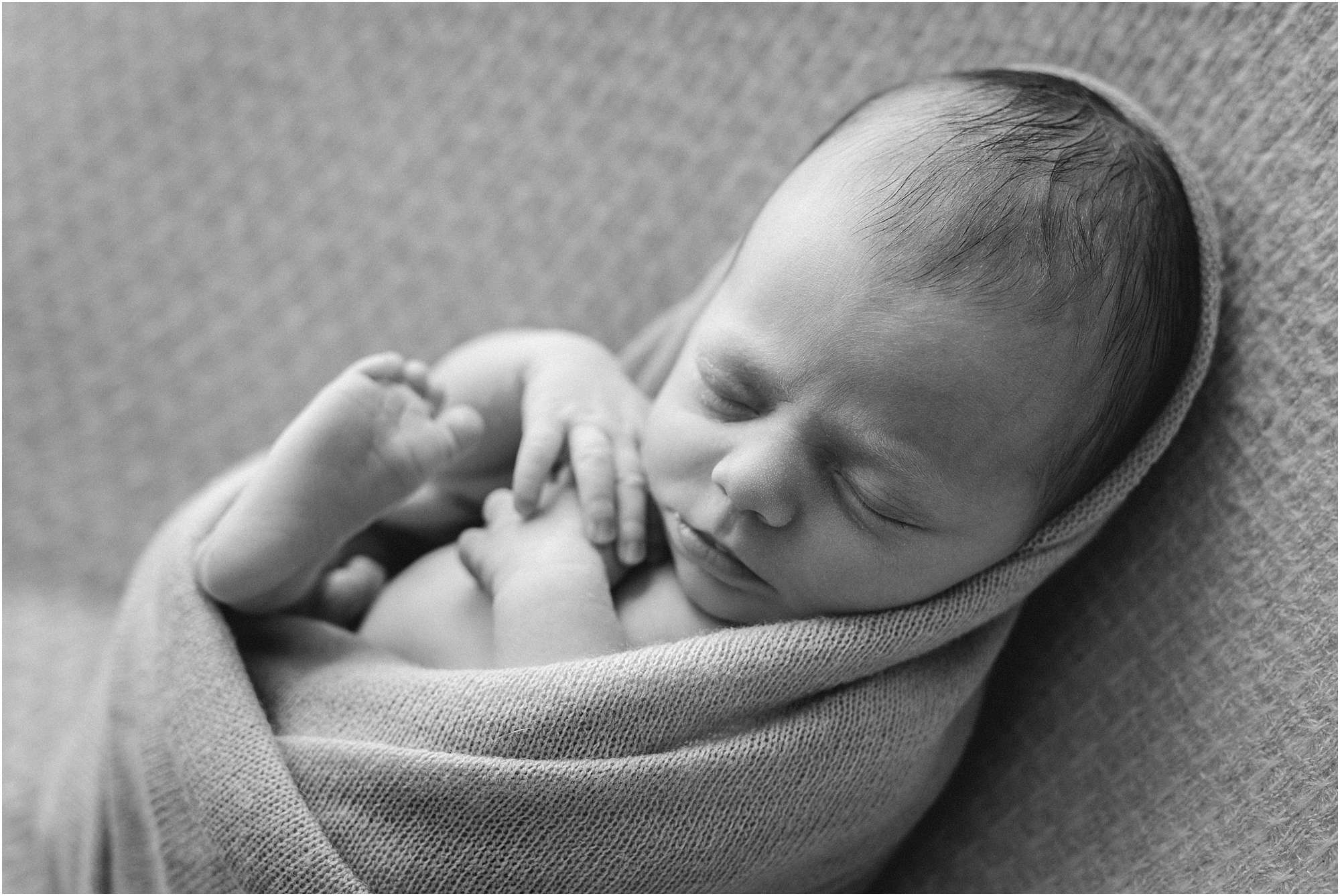 best maine newborn photographer, professional newborn photos