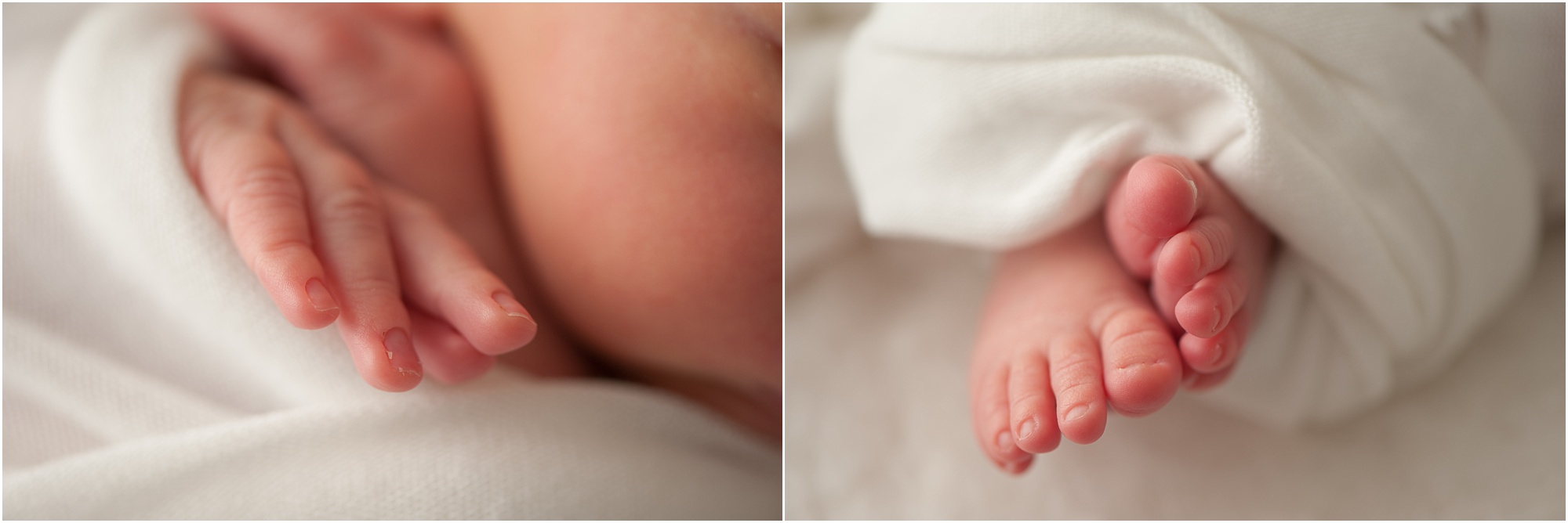 Portland Maine Newborn Photographer