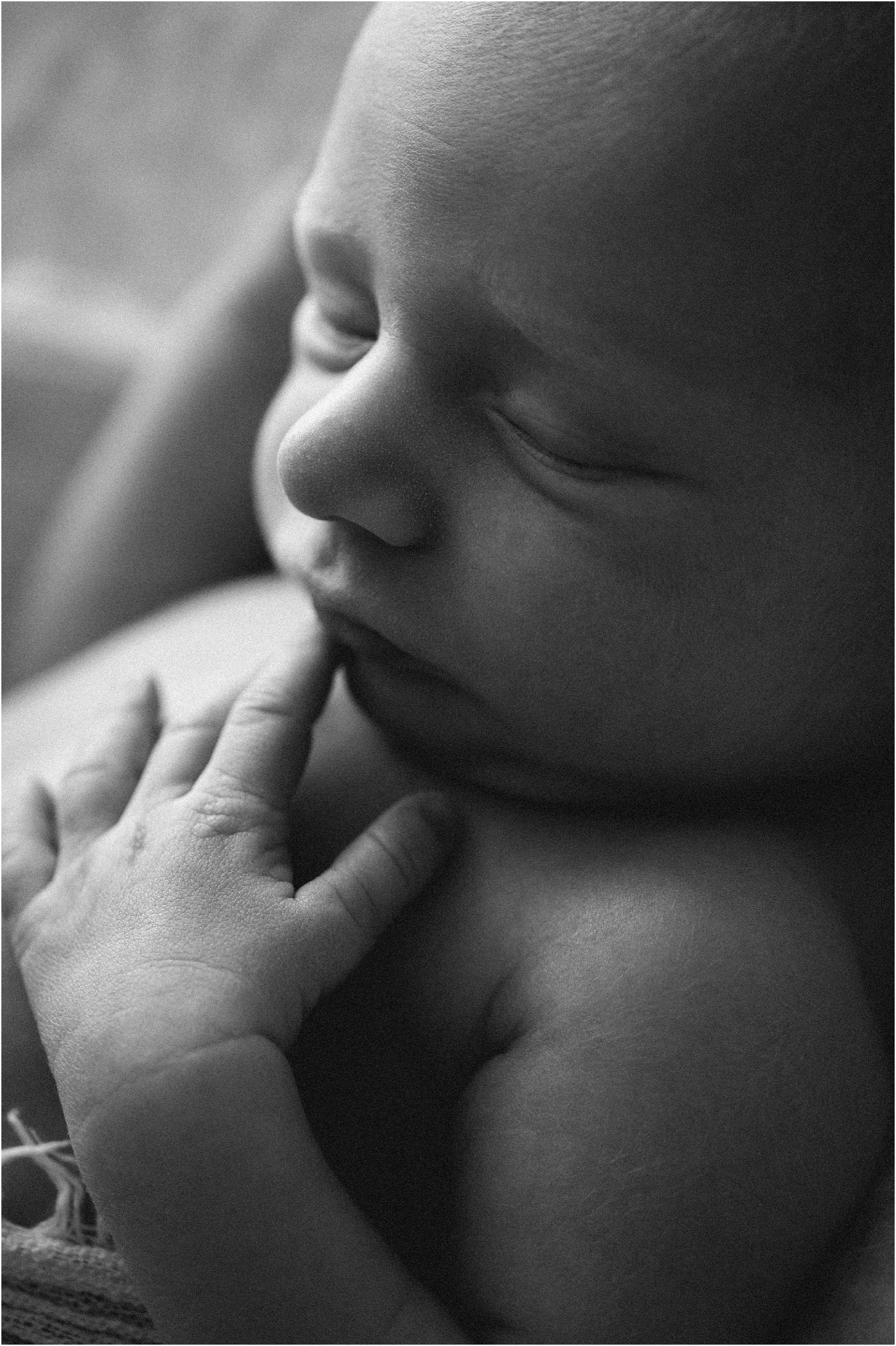 Portland Maine Newborn Photographer