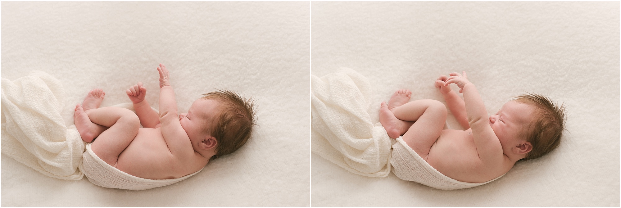 newborn photography southern maine