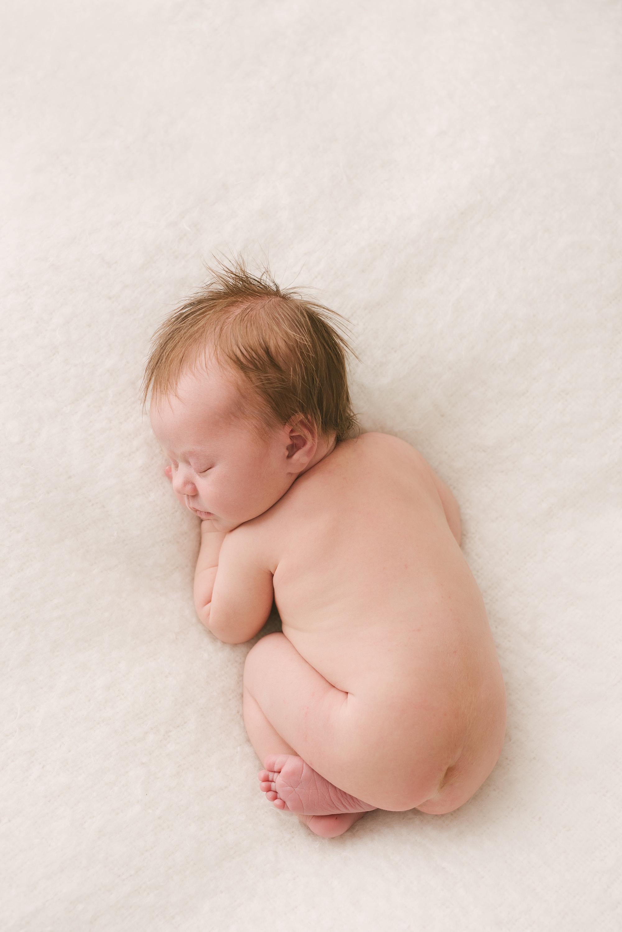 newborn photography southern maine