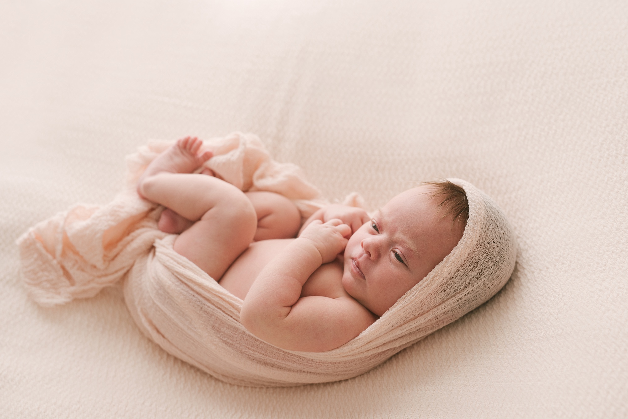 newborn photography southern maine