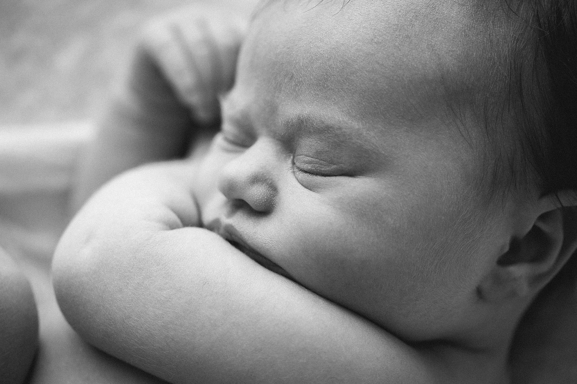 newborn photography southern maine