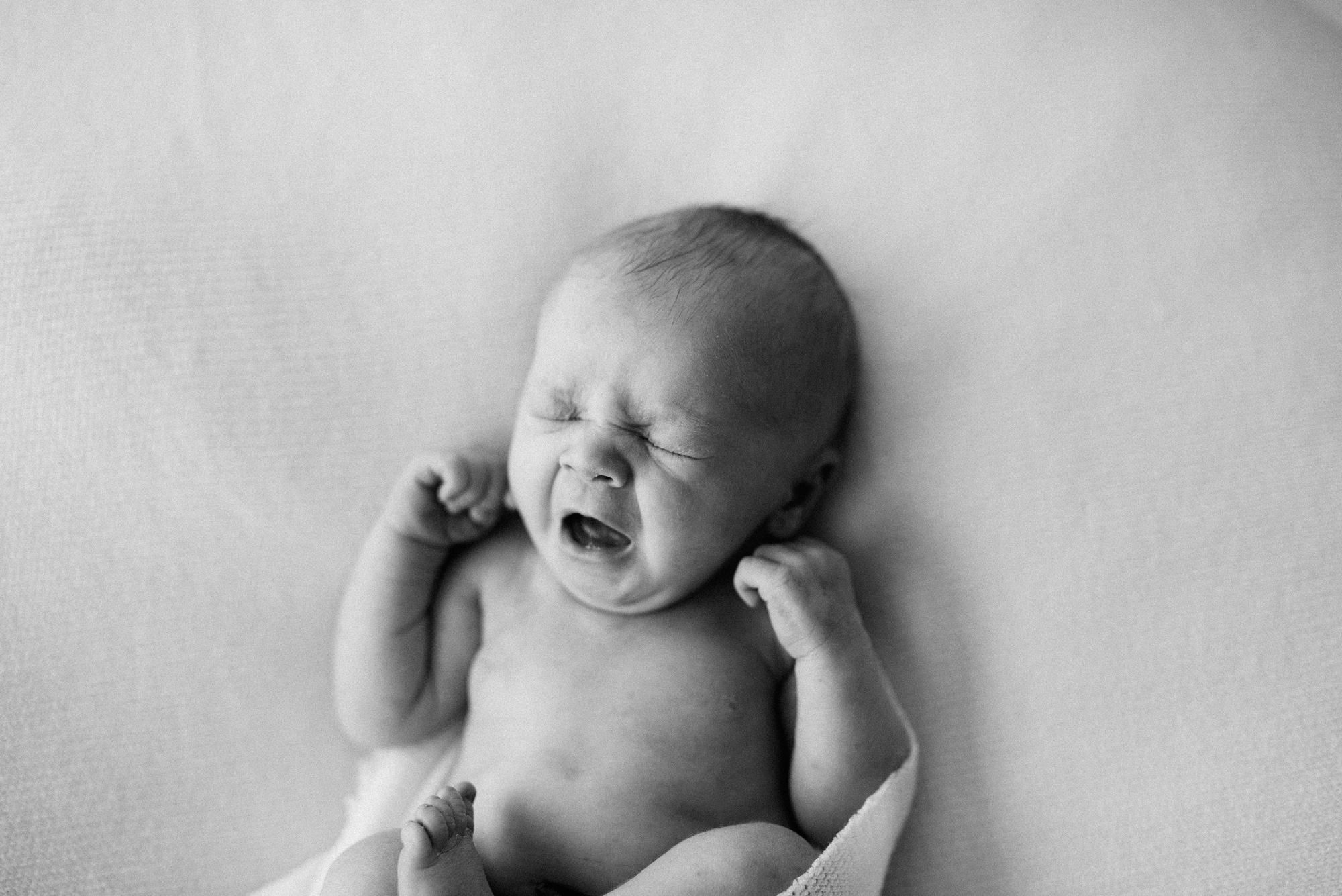 newborn photography southern maine