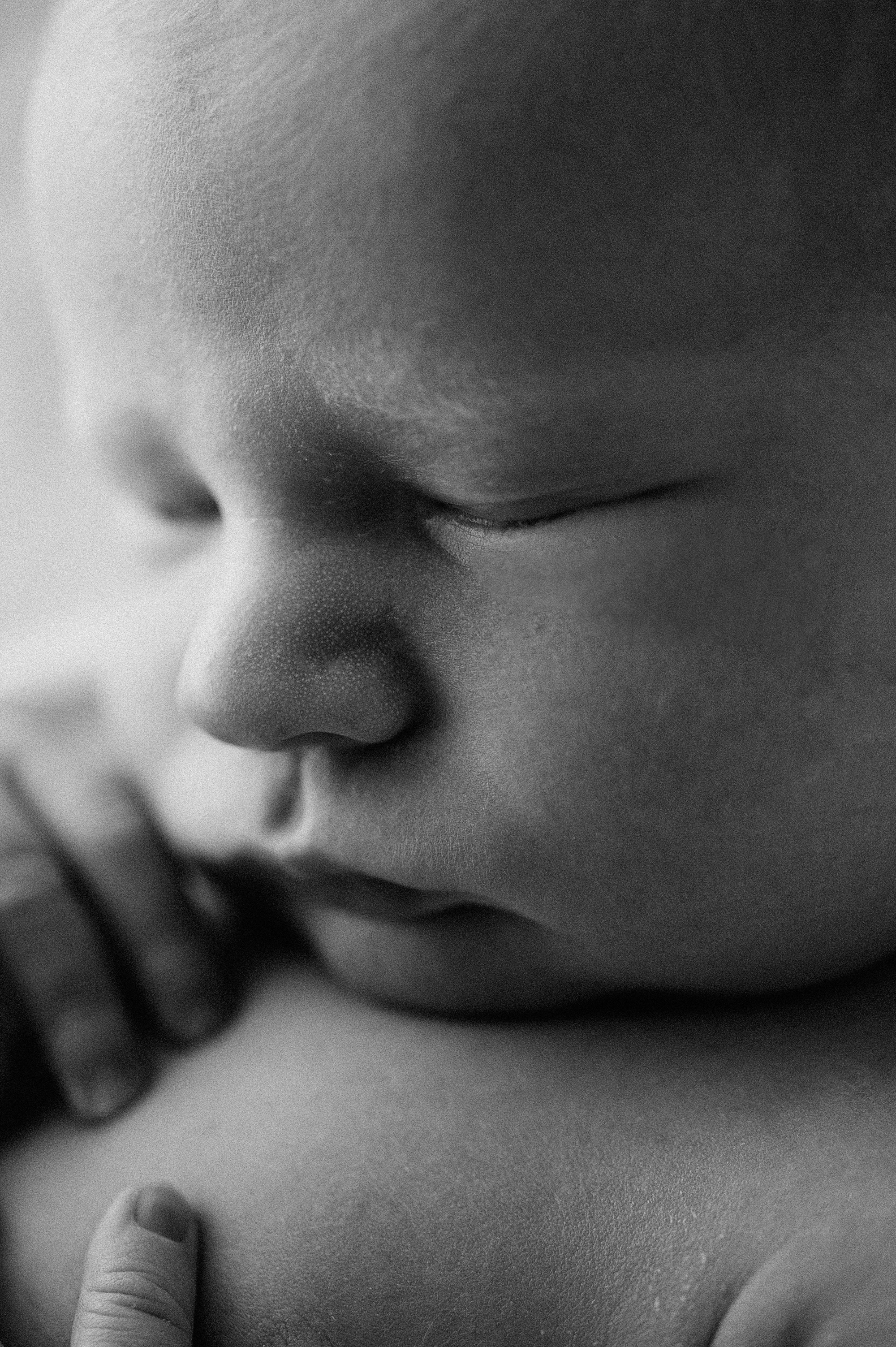 Newborn Photographer in Portland Maine