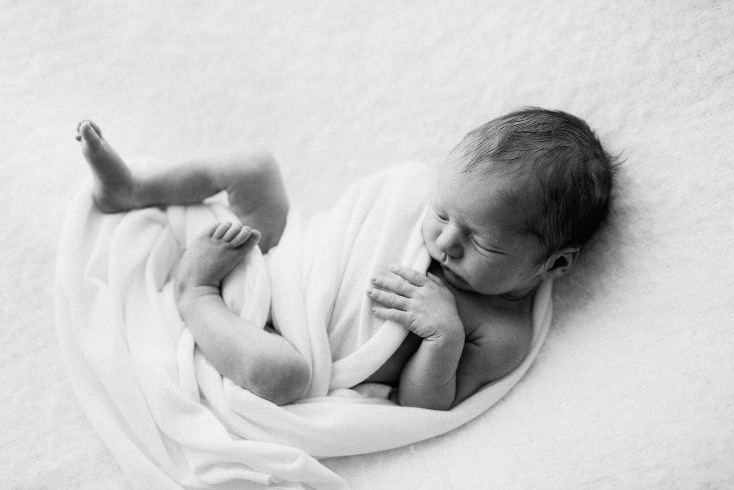 newborn photography maine