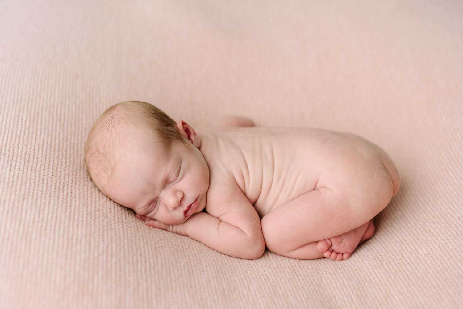 newborn photography portland me