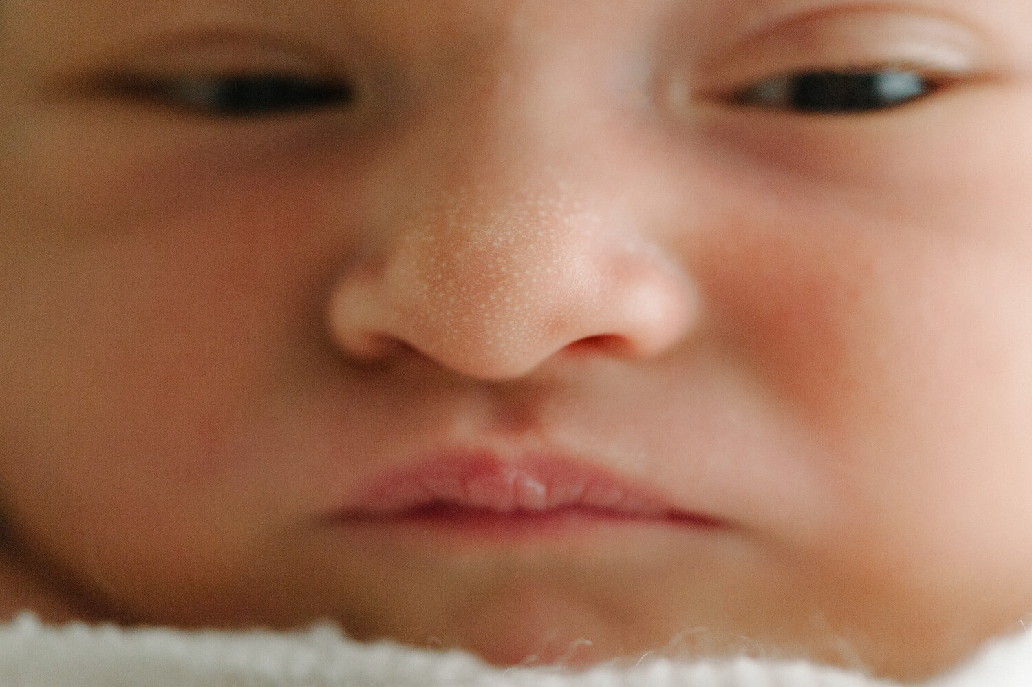 newborn photography southern maine