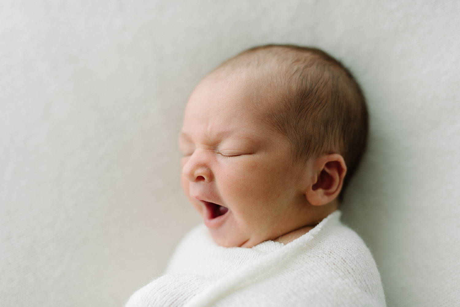 newborn photography southern maine