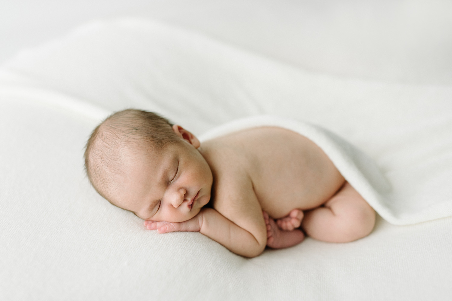 newborn photography southern maine