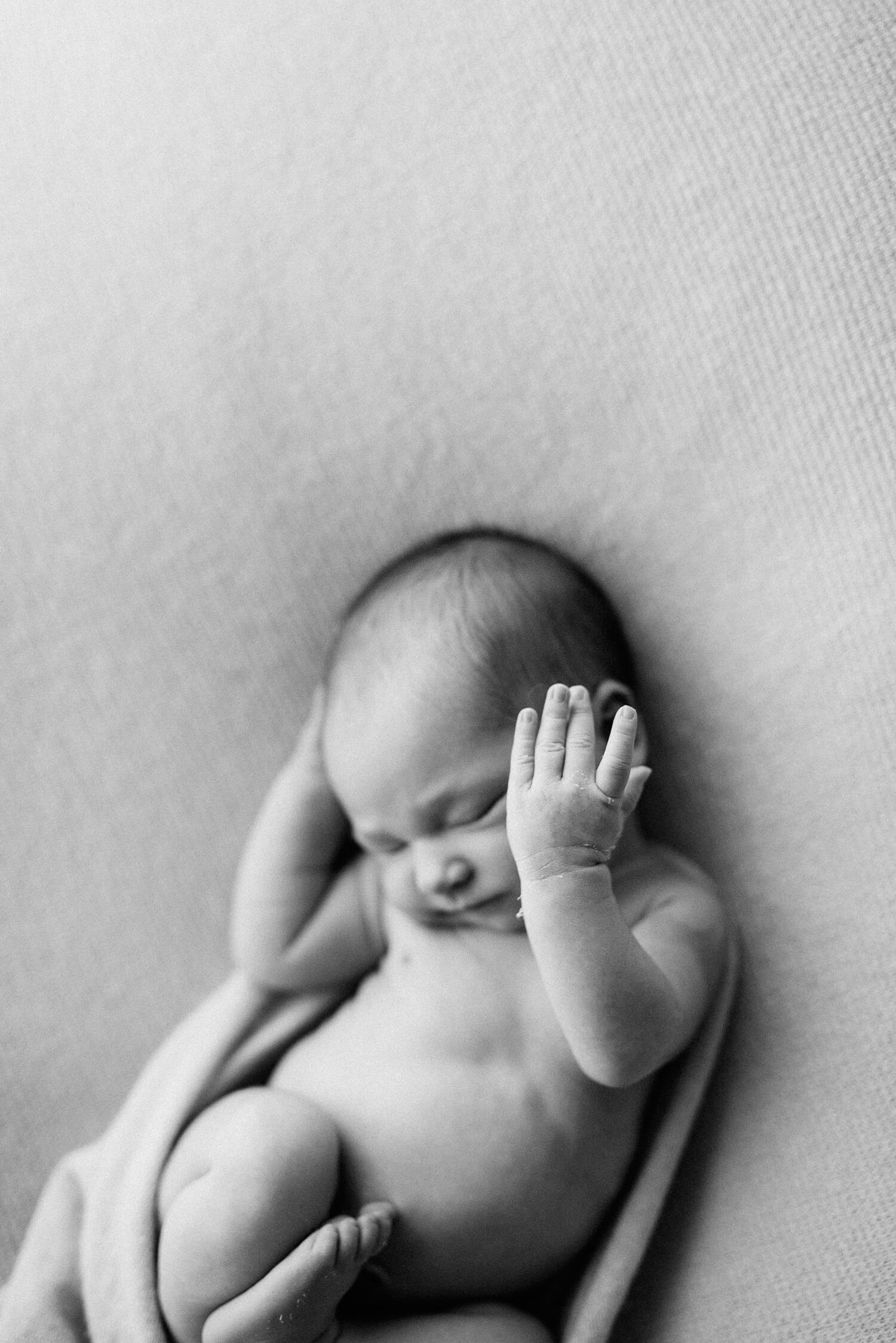 newborn photography southern maine