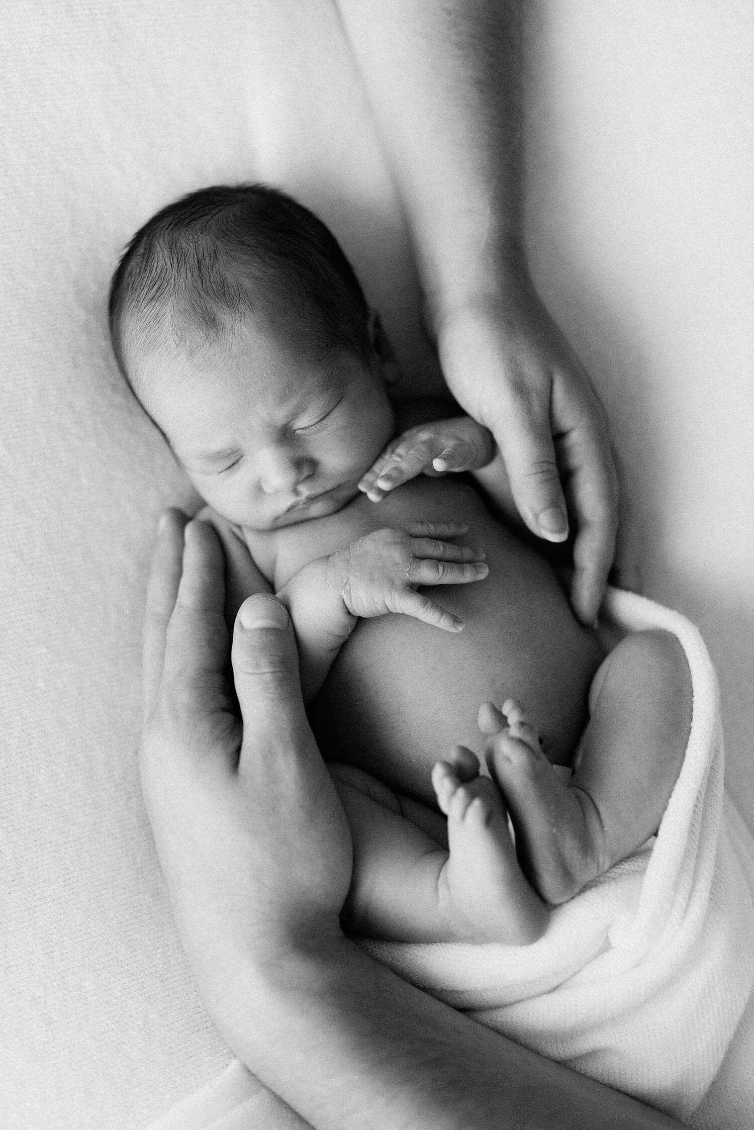 newborn photography southern maine