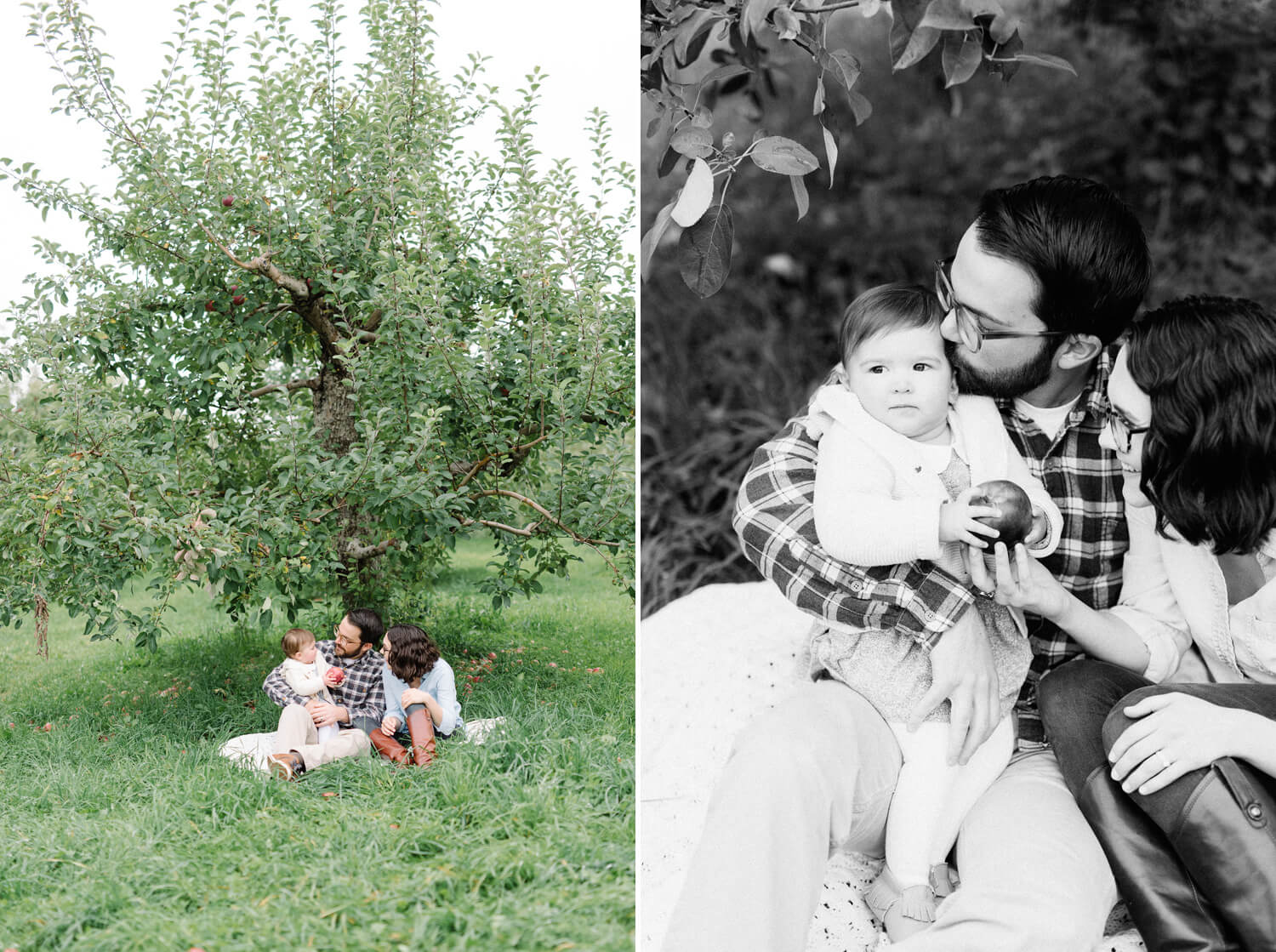 maine family photographer