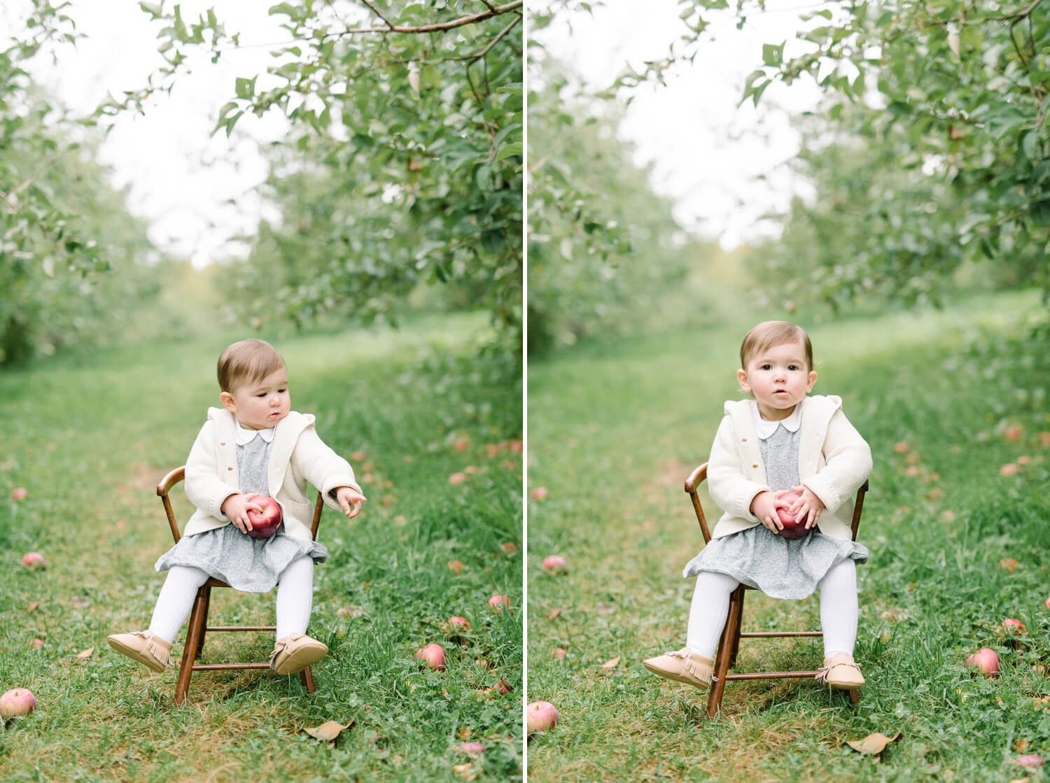 maine family photographer