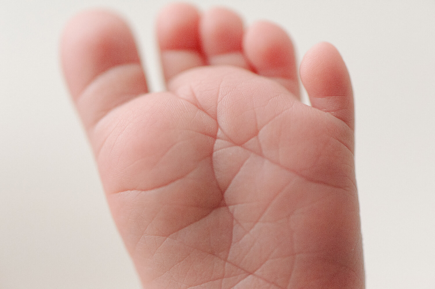 Maine Newborn Baby Photographer