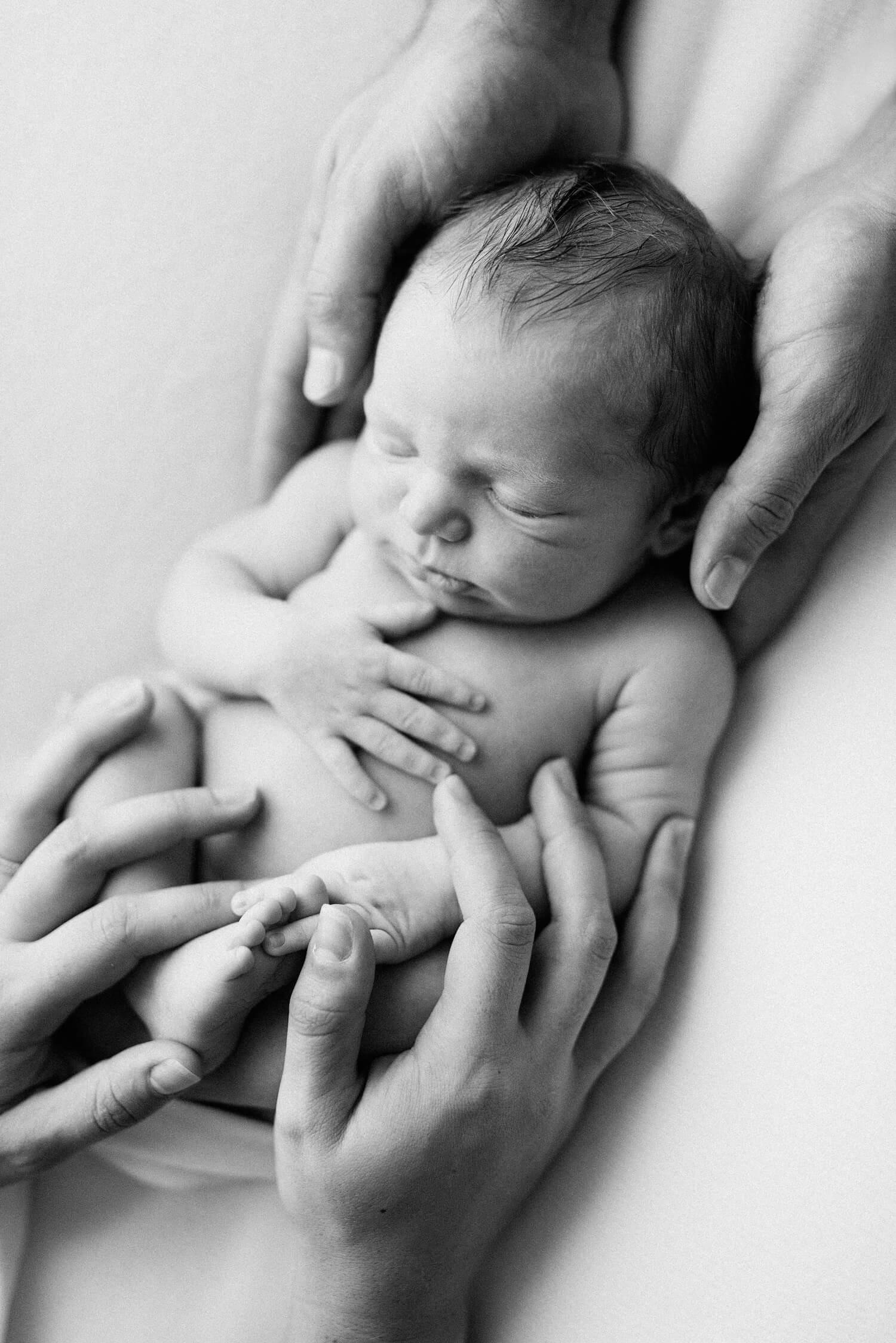 Maine Newborn Baby Photographer