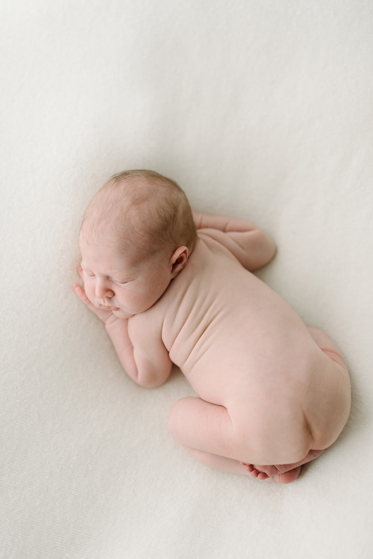 Best Newborn Photographer Maine