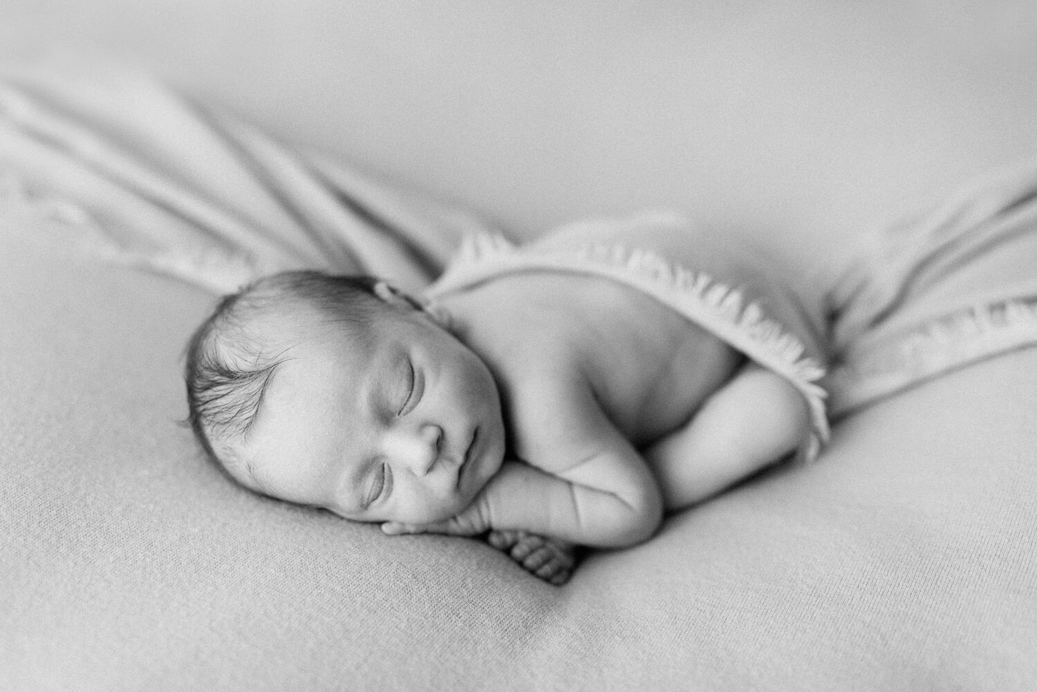 Newborn Photographer Near Me