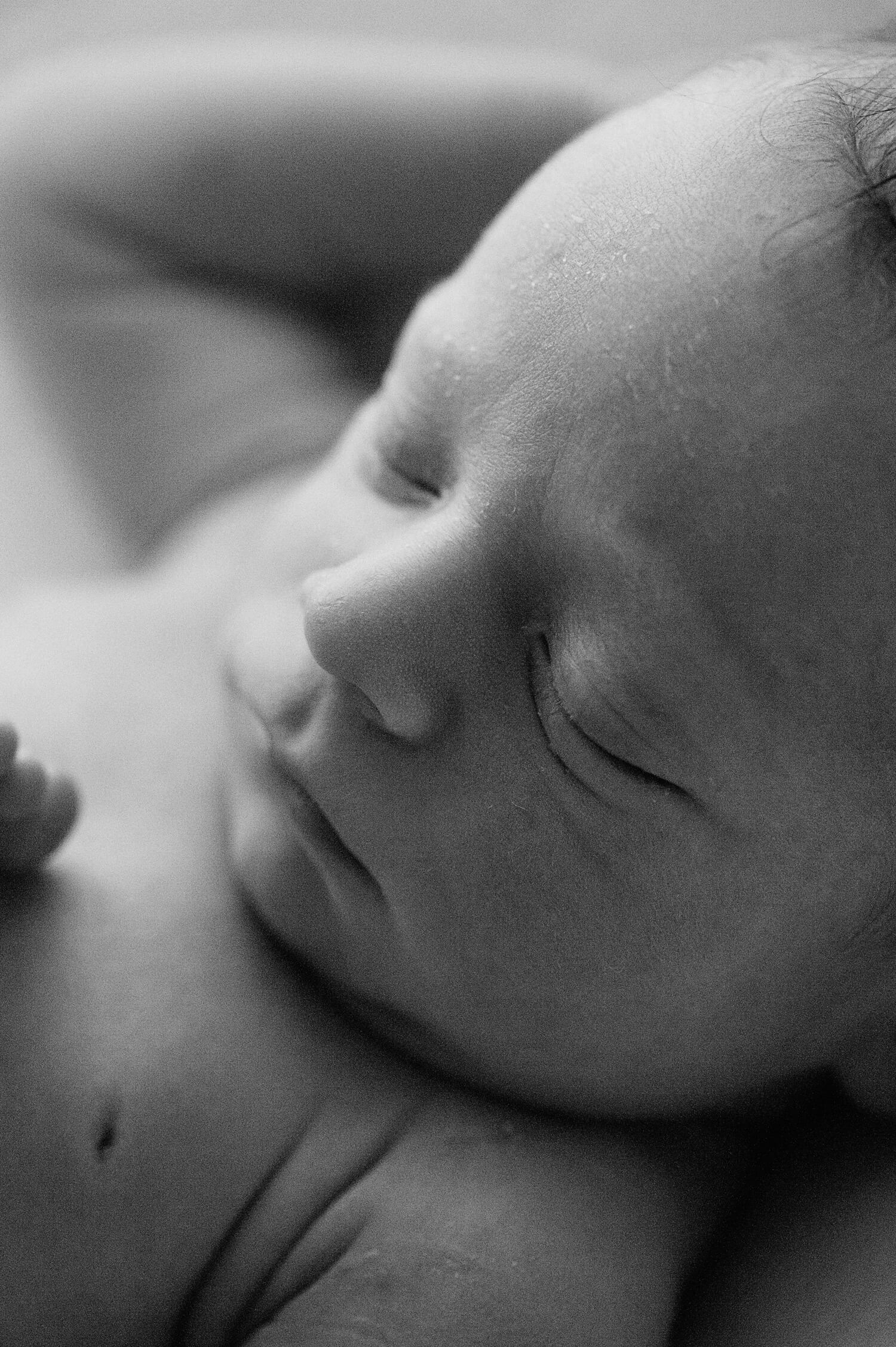 Newborn Photographer Near Me