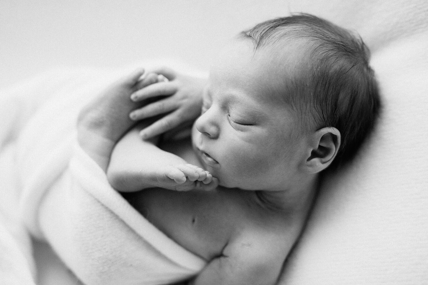 Newborn Photographer Near Me