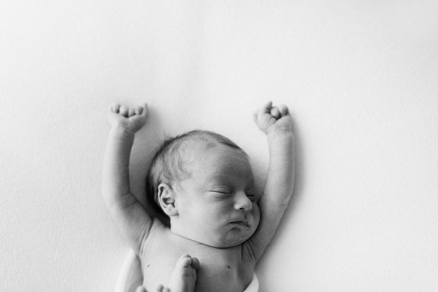 Newborn Photographer Near Me