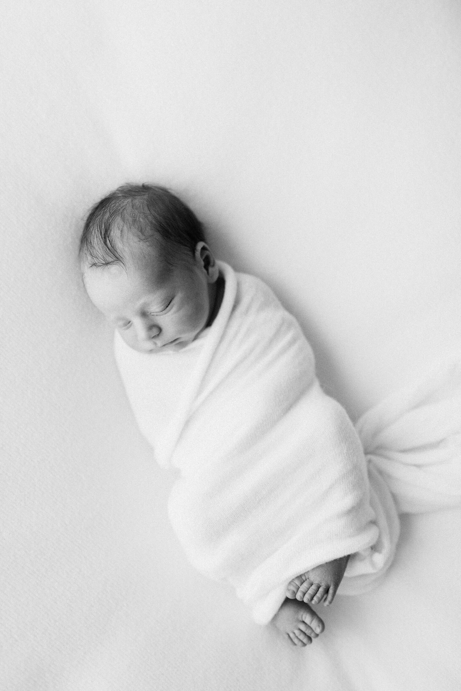 Newborn Photographer Near Me