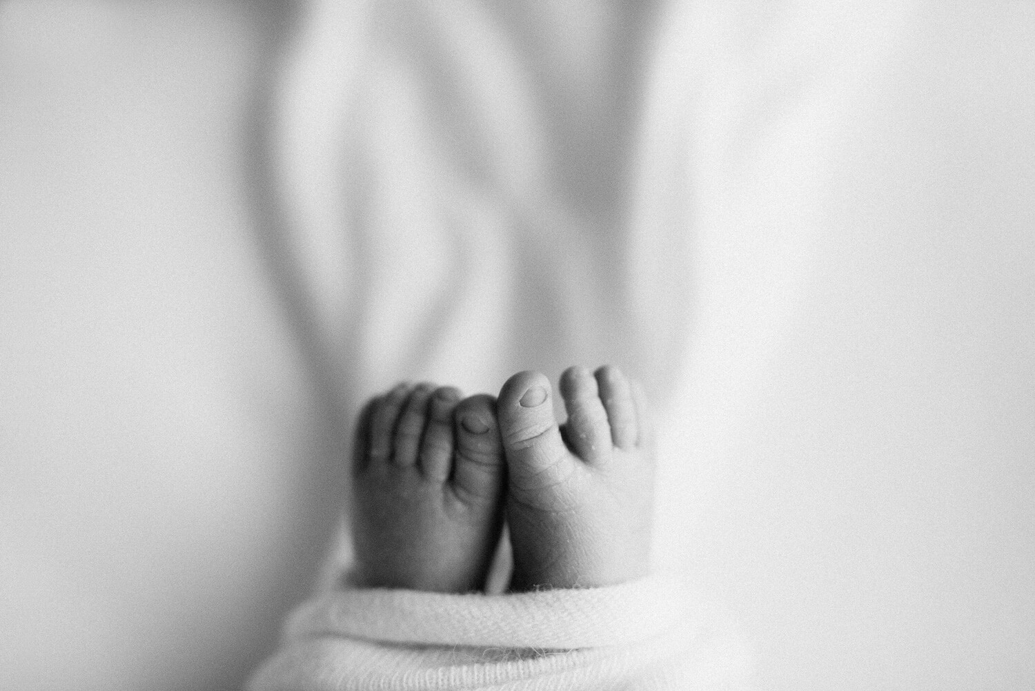 Newborn Photographer Near Me