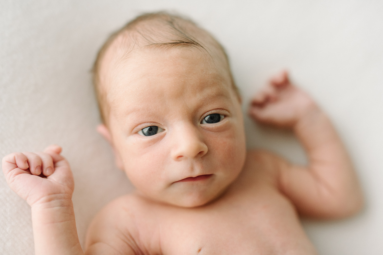 Newborn Photographer Near Me