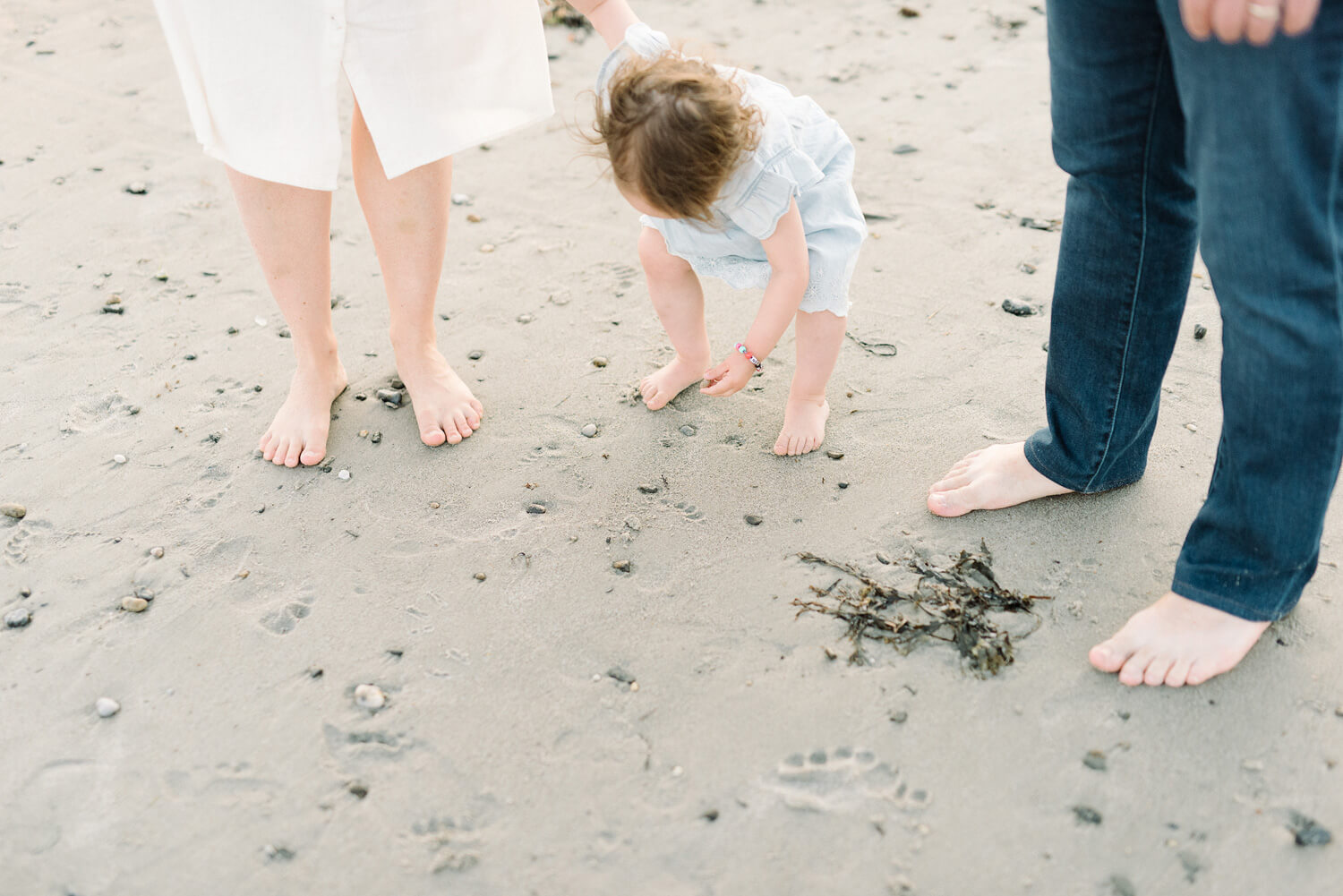 Family Photographer Near Me