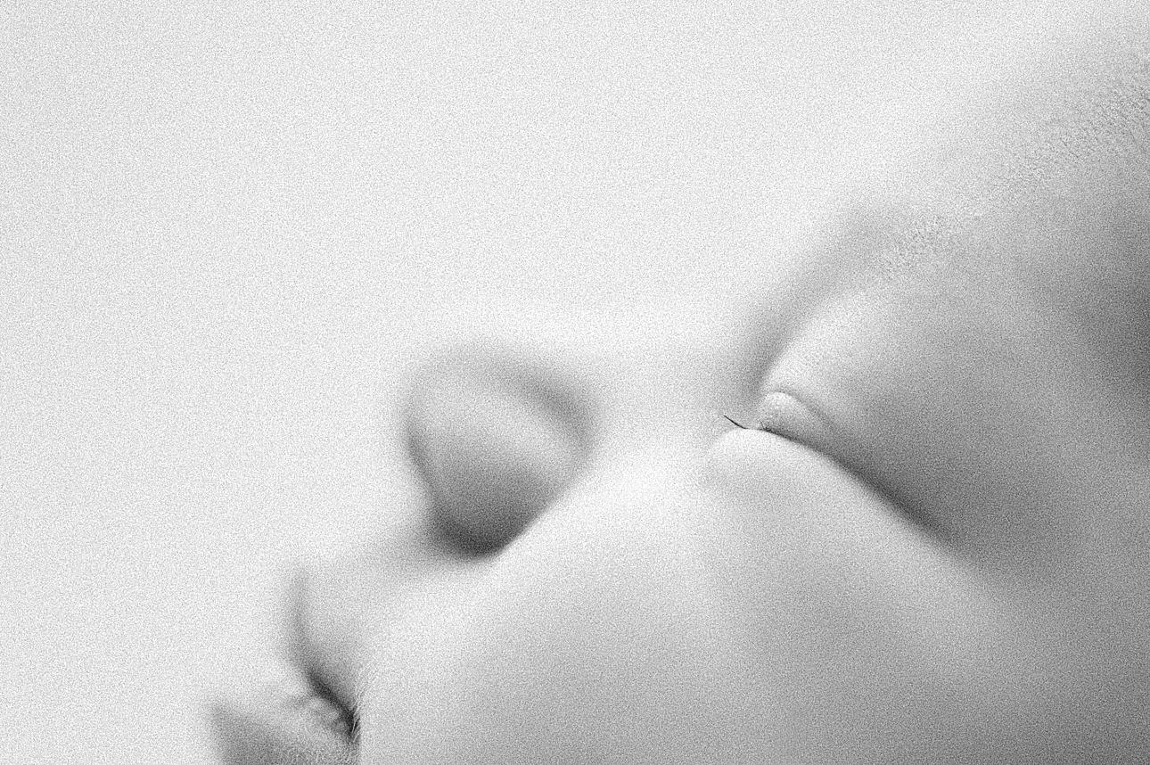 best newborn photography Maine, newborn portraits near me